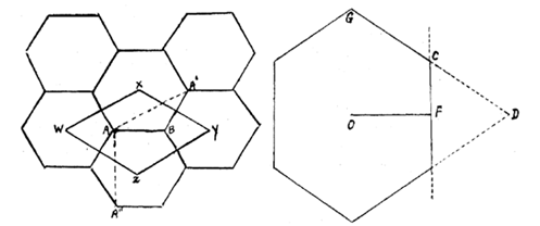 Imagem em preto e branco

Descrição gerada automaticamente com confiança média