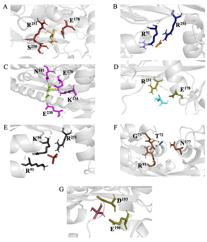 Diagrama

O conteúdo gerado por IA pode estar incorreto.